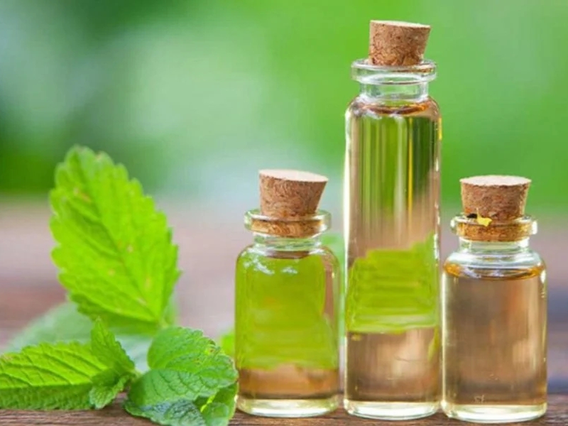 sử dụng tinh dầu bạc hà khử mùi sơn nhà mới